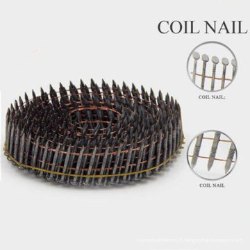 New Design Ring Shank Coil Nail avec un bon prix